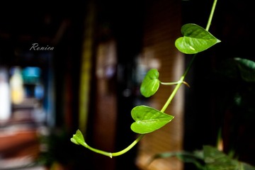 20110917-IMG_7134.jpg