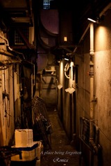 IMG_1181.jpg