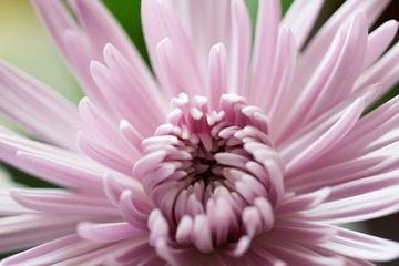 IMG_3689.jpg