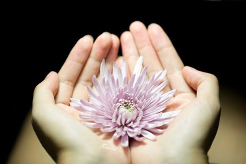 IMG_3725-编辑-编辑.jpg