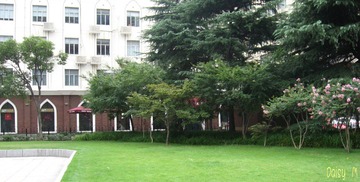 IMG_3053_conew1