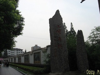 IMG_3072_conew1