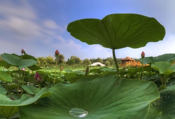 _DSC0705_tonemapped