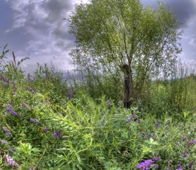 _DSC0383_4_5_tonemapped