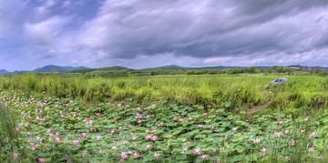 _DSC0425_6_7_tonemapped