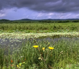 _DSC0452_3_4_tonemapped