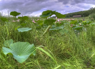 _DSC0461_2_3_tonemapped