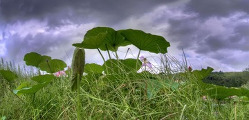 _DSC0464_5_6_tonemapped