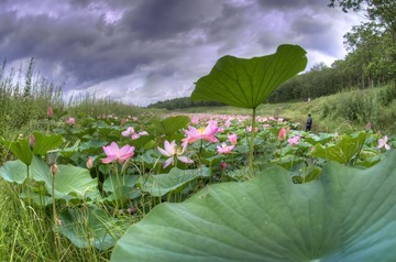 _DSC0467_8_9_tonemapped