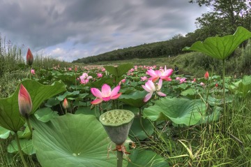 _DSC0471_tonemapped