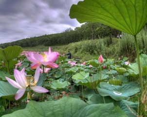 _DSC0473_4_5_tonemapped