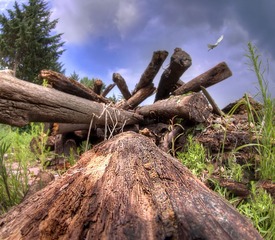 _DSC0554_5_6_tonemapped