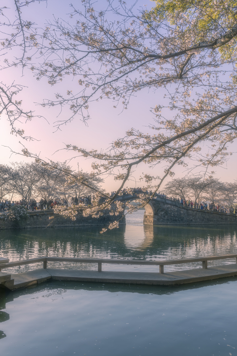 夕阳下的长春桥无锡鼋头渚