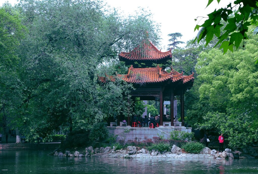 武汉，湖水，亭台，老人们用戏曲记录着岁月的流逝