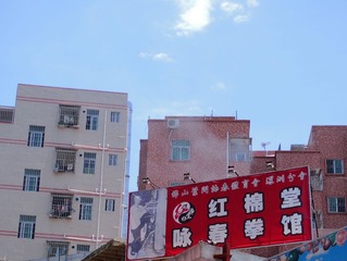 P5030007 (2)