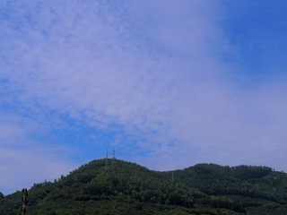 P5030011