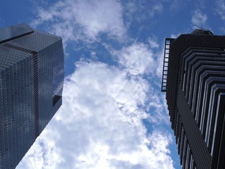 P5030013