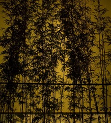 P7050235