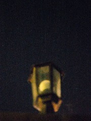 P7050251