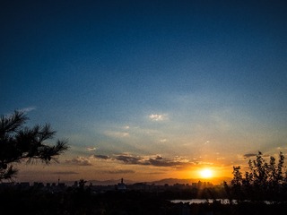 P7120317