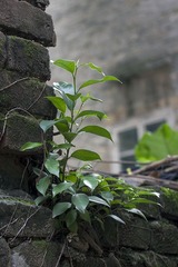 杂拍 (3)