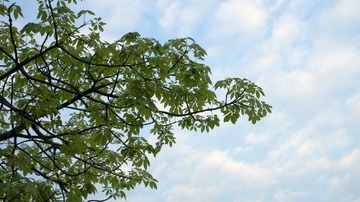 杂拍 (7)