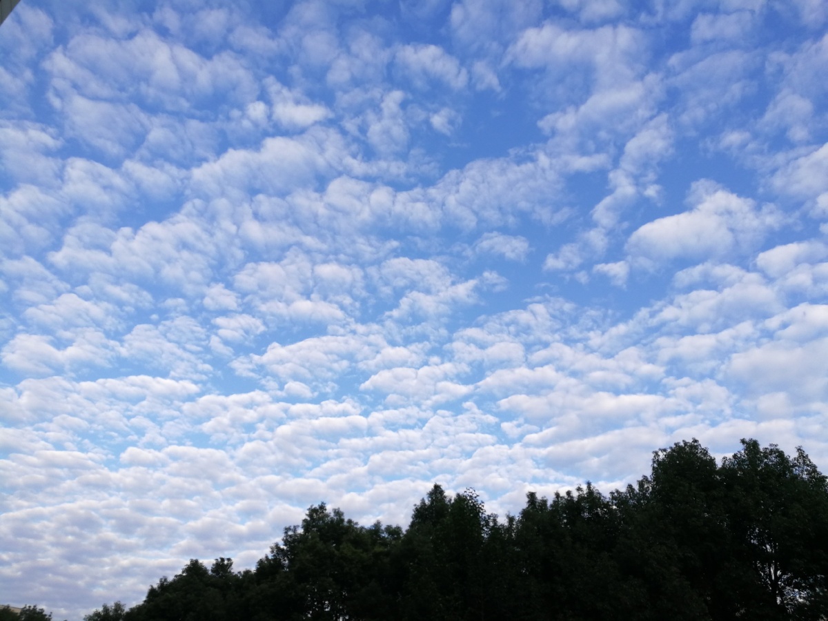 晴空万里