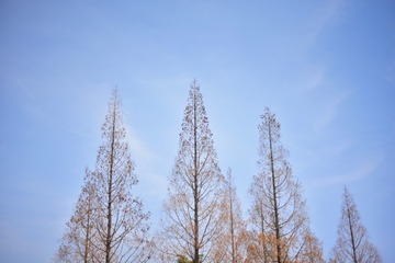 1502844