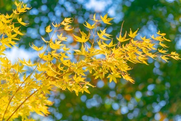 _DSC6625