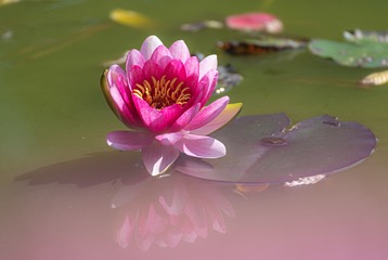 _DSC6641-1