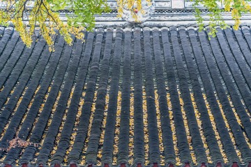 _DSC6137
