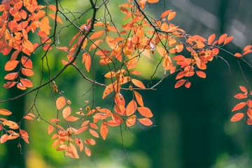 _DSC6460