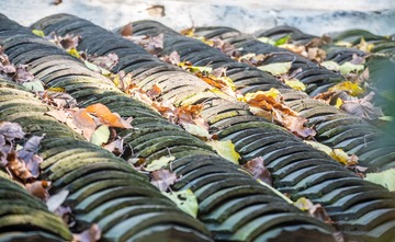 _DSC6796