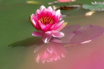 _DSC6638-1