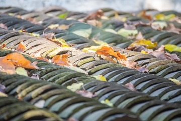 _DSC6793