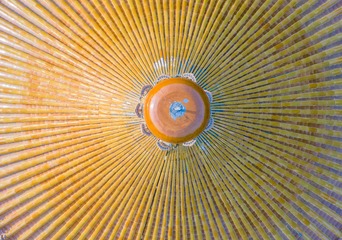 DJI_0059