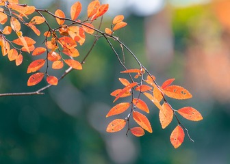 _DSC6468
