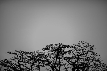 DSC_2670-25