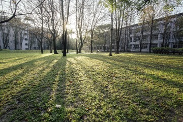 辅仁大学的早晨