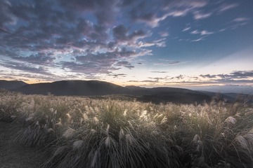 阳明山