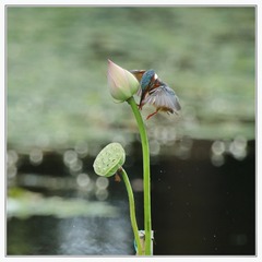 tmp_30218cdcca3db252fa99f924f813fe51