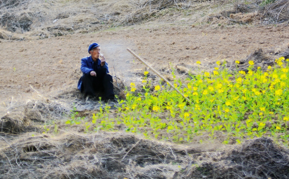 勤劳的农民最美