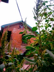 P1030441.jpg