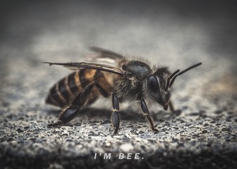 1737