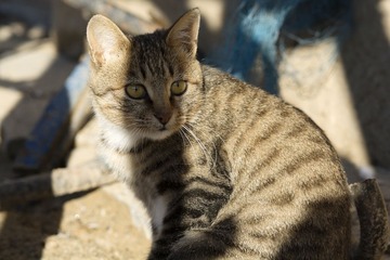 _DSC7879-197