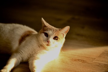 001