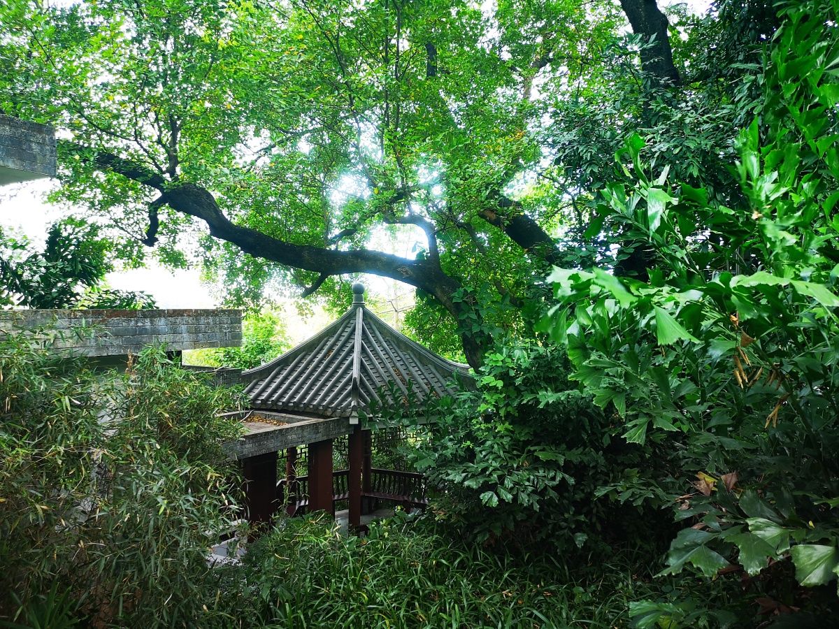 东坡园惠州西湖风景区里有一个院落叫东坡园里面有东坡雕像王朝云雕像