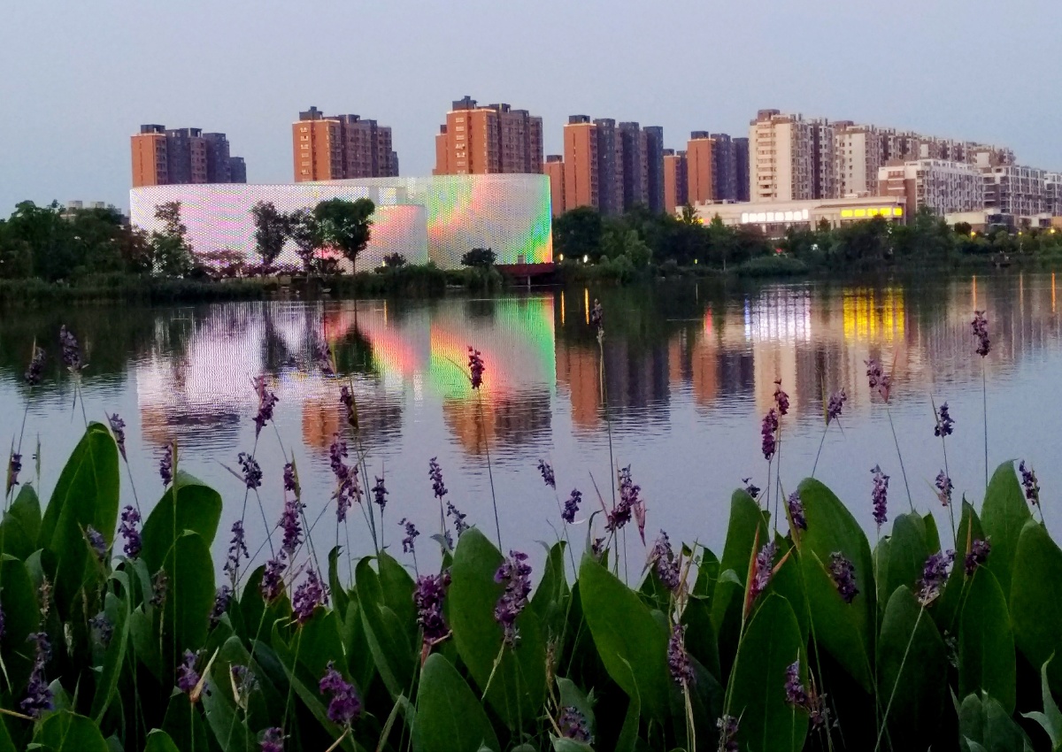 南京龙池湖风景