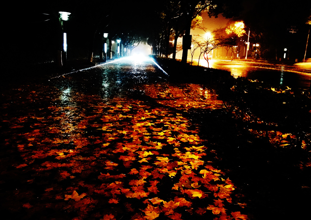 秋雨绵绵的夜