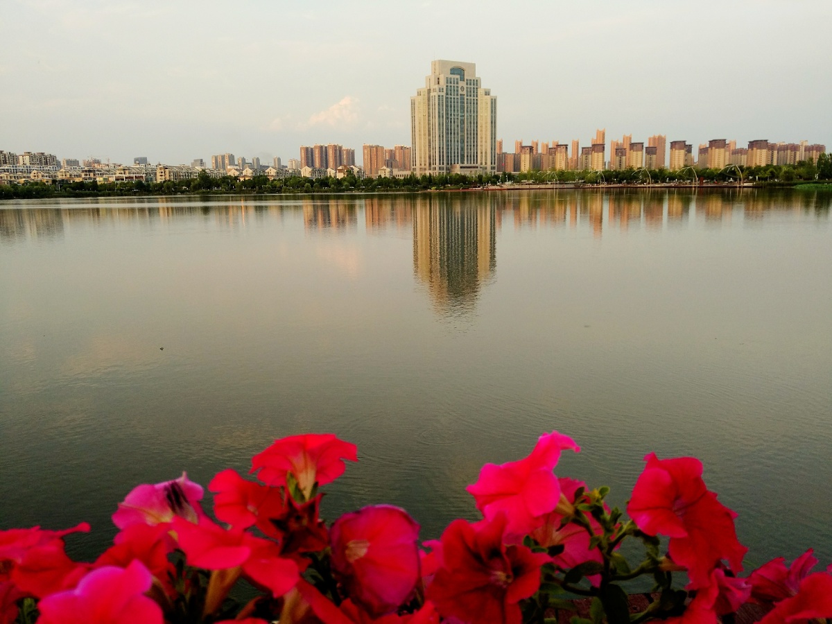 南京龙池湖风景